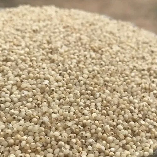 Barnyard Millet (Sanwa)