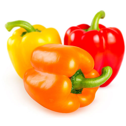 Bell Pepper