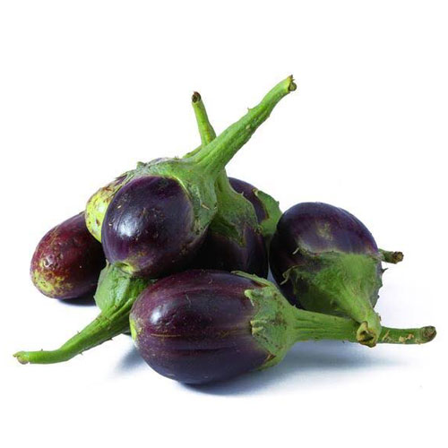 Brinjal