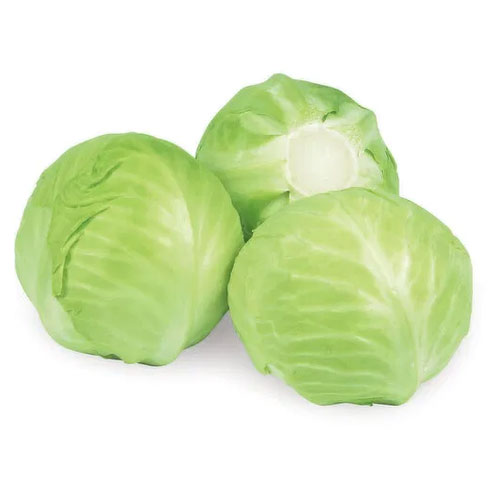 Cabbage