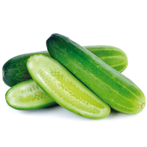 Cucumber