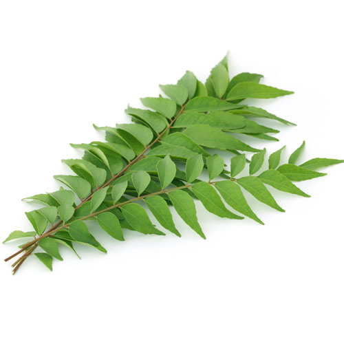 Curry Leaves