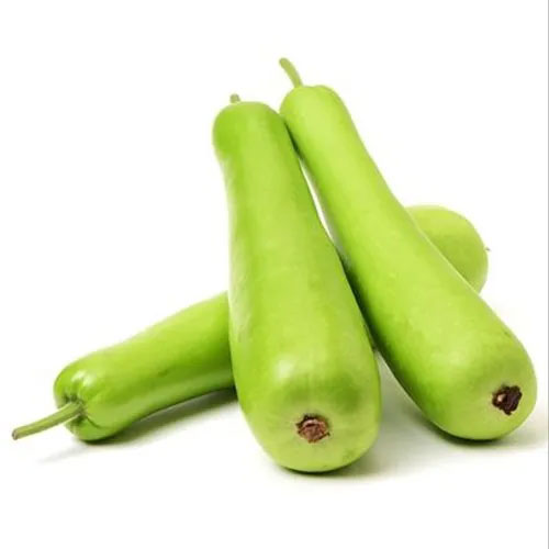 Doodhi - Bottle Gourd - Lauki
