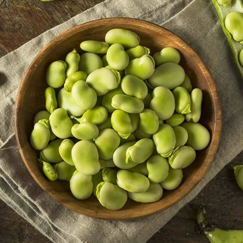 Field Beans (Bakla Sem)