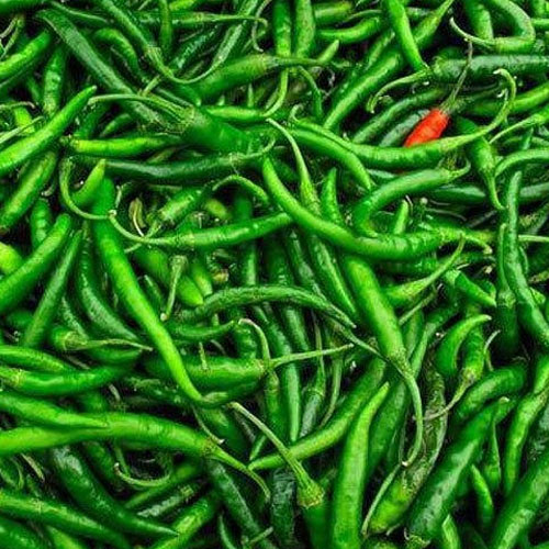 Green Chilli