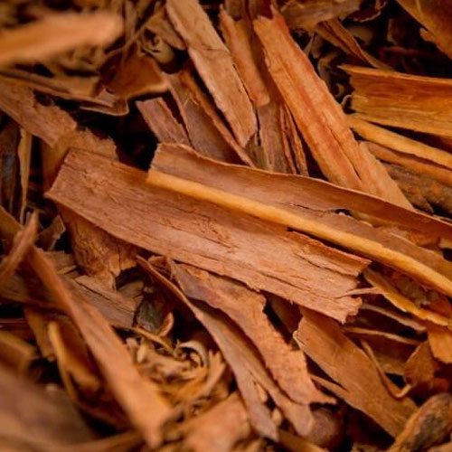 Indian Cinnamon