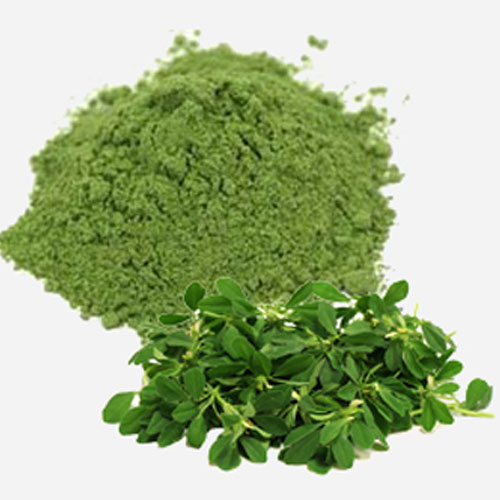 Kasuri Methi Powder
