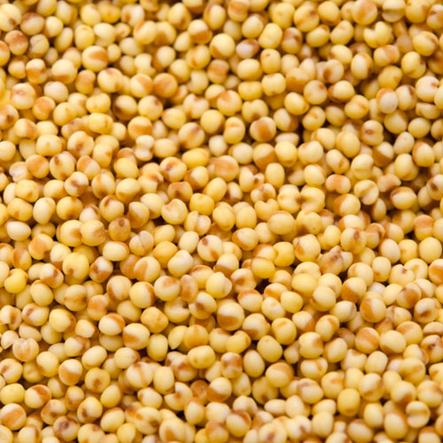 Kodo Millet (Kodon)