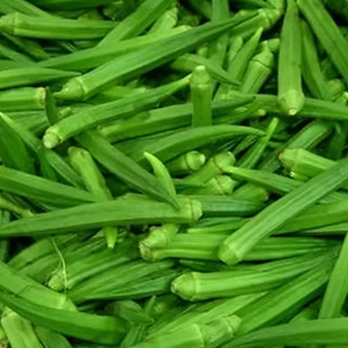 Lady Finger