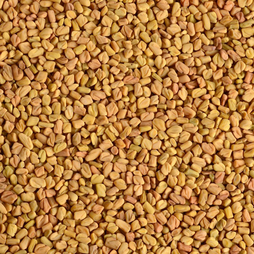 Methi