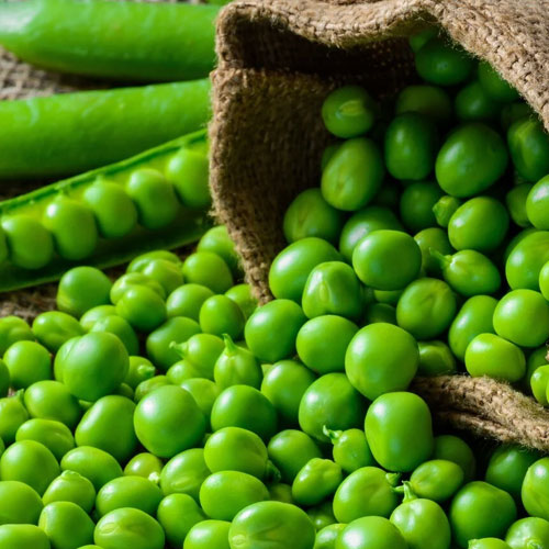 Peas (Matar)