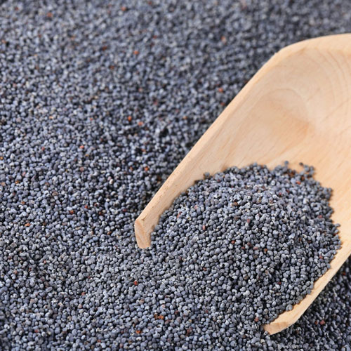 Poppy Seed