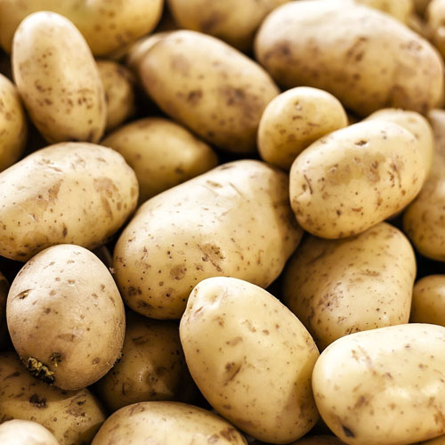 Potato