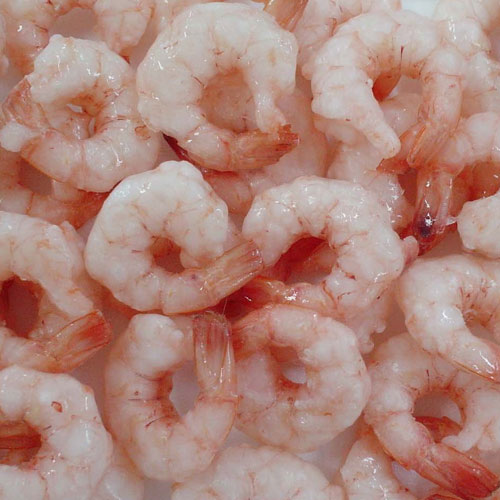 Shrimp