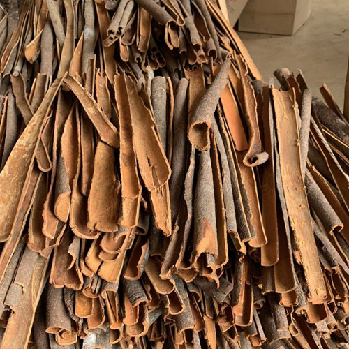 Split Cassia