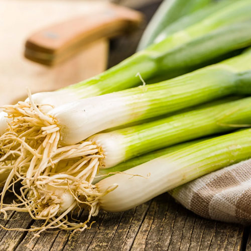Spring Onion
