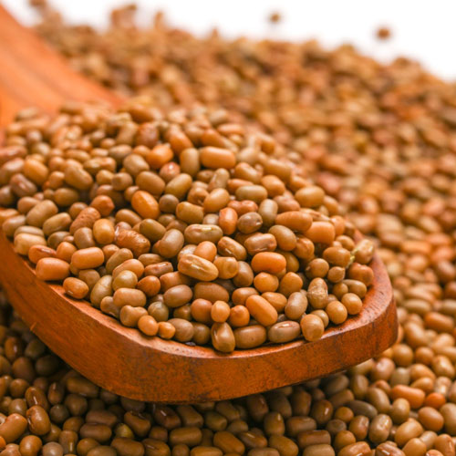 Turkish Gram (Moth Bean)
