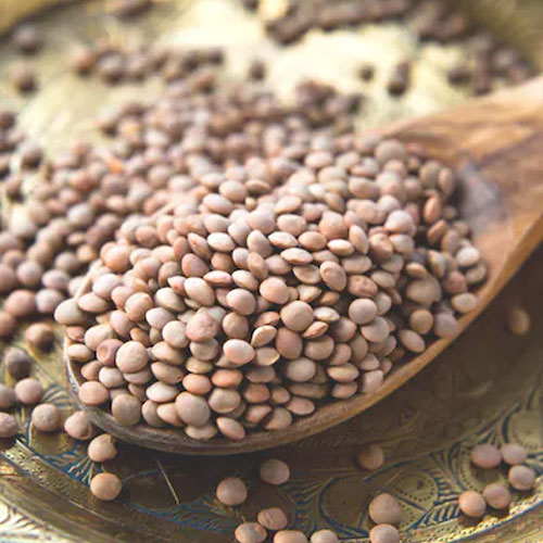 Whole Red Lentil (Sabut Masoor)